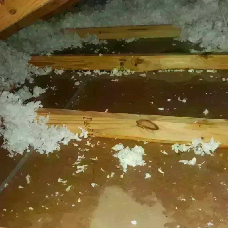 Attic Water Damage in Stephens City, VA