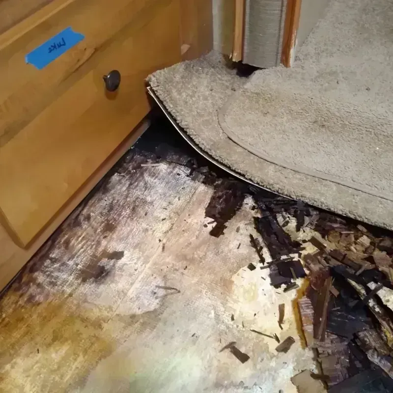 Wood Floor Water Damage in Stephens City, VA